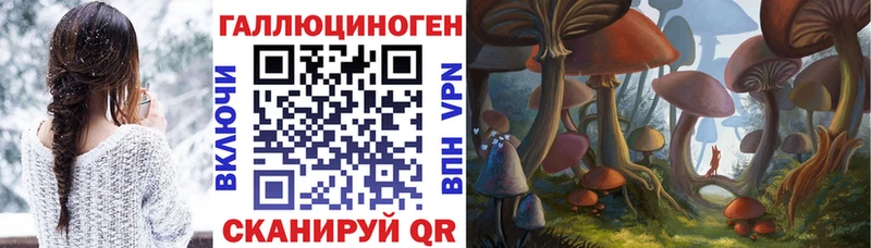 дарк нет формула где найти наркотики Карабаш Псилоцибиновые грибы Cubensis